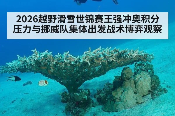 2026越野滑雪世锦赛王强冲奥积分压力与挪威队集体出发战术博弈观察